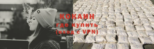 стаф Ладушкин