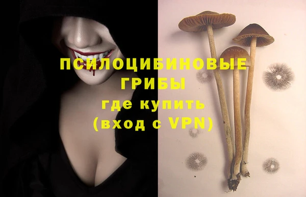 ECSTASY Лабытнанги
