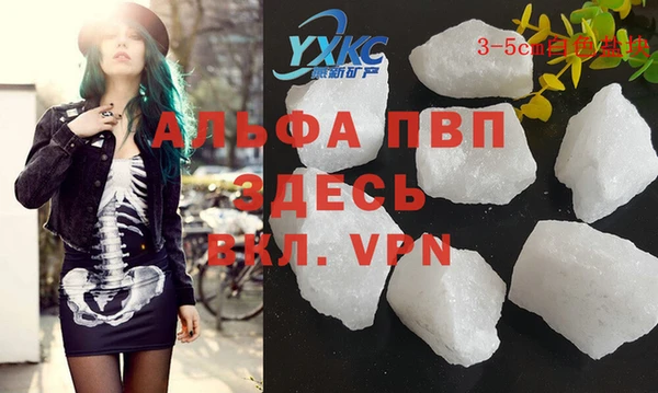 стаф Ладушкин