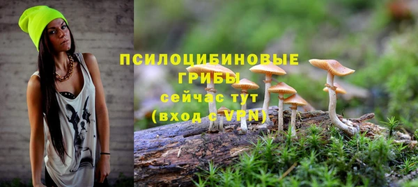 стаф Ладушкин
