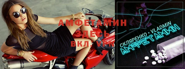стаф Ладушкин